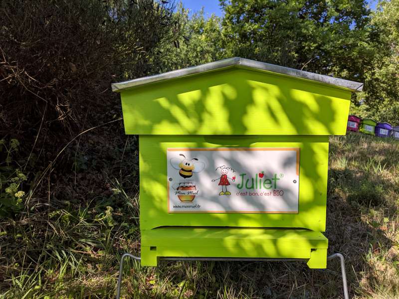 Adoption ruche entreprise - Juliet