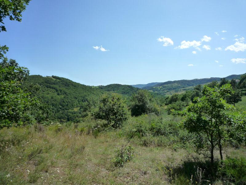 Vue d'un des ruchers Mon Miel