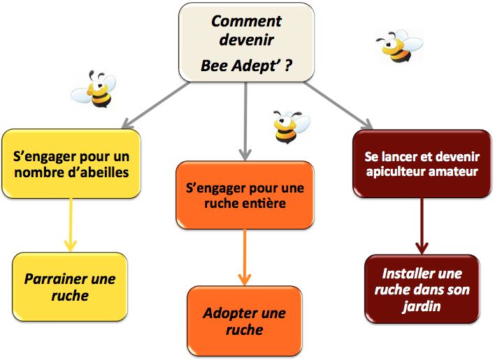 Comment devenir Bee Adept'