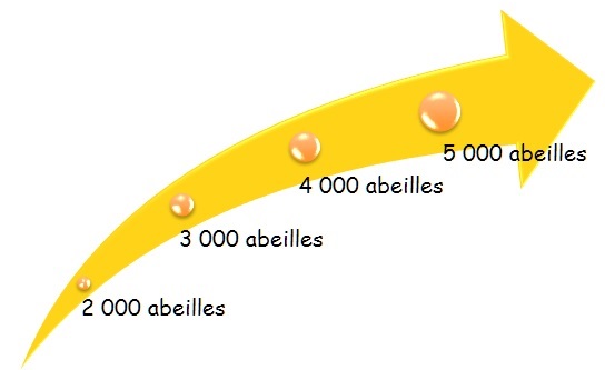 Parrainer une ruche - Flèche