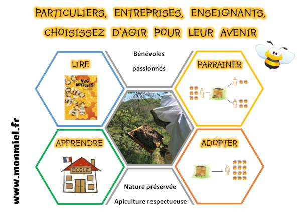 Parrainer une ruche pour sauver les abeilles
